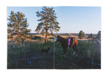 Load image into Gallery viewer, Buzzing at the Sill (signed)