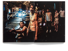 Load image into Gallery viewer, Buzzing at the Sill (signed)