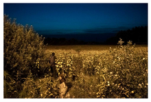 Load image into Gallery viewer, Sorry for the War (signed)