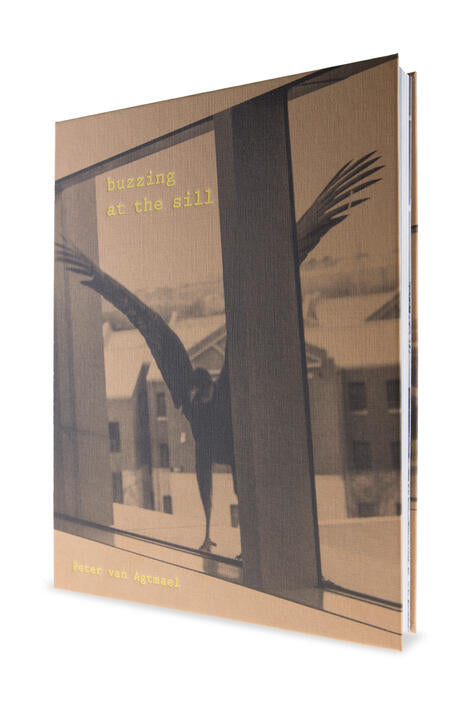 Buzzing at the Sill / Peter Van Agtmael