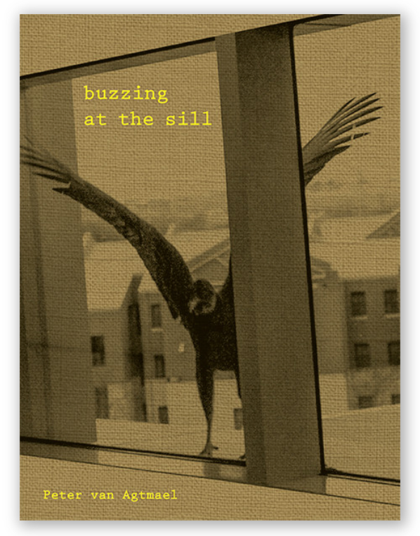 アート・デザイン・音楽 Buzzing at the Sill / Peter Van Agtmael Buzzing at the Sill / Peter Van Agtmael